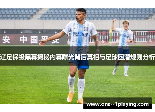 辽足保级黑幕揭秘内幕曝光背后真相与足球圈潜规则分析