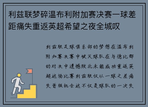 利兹联梦碎温布利附加赛决赛一球差距痛失重返英超希望之夜全城叹 利兹联梦碎温布利附加赛决赛一球差距痛失重返英超希望之夜全城叹